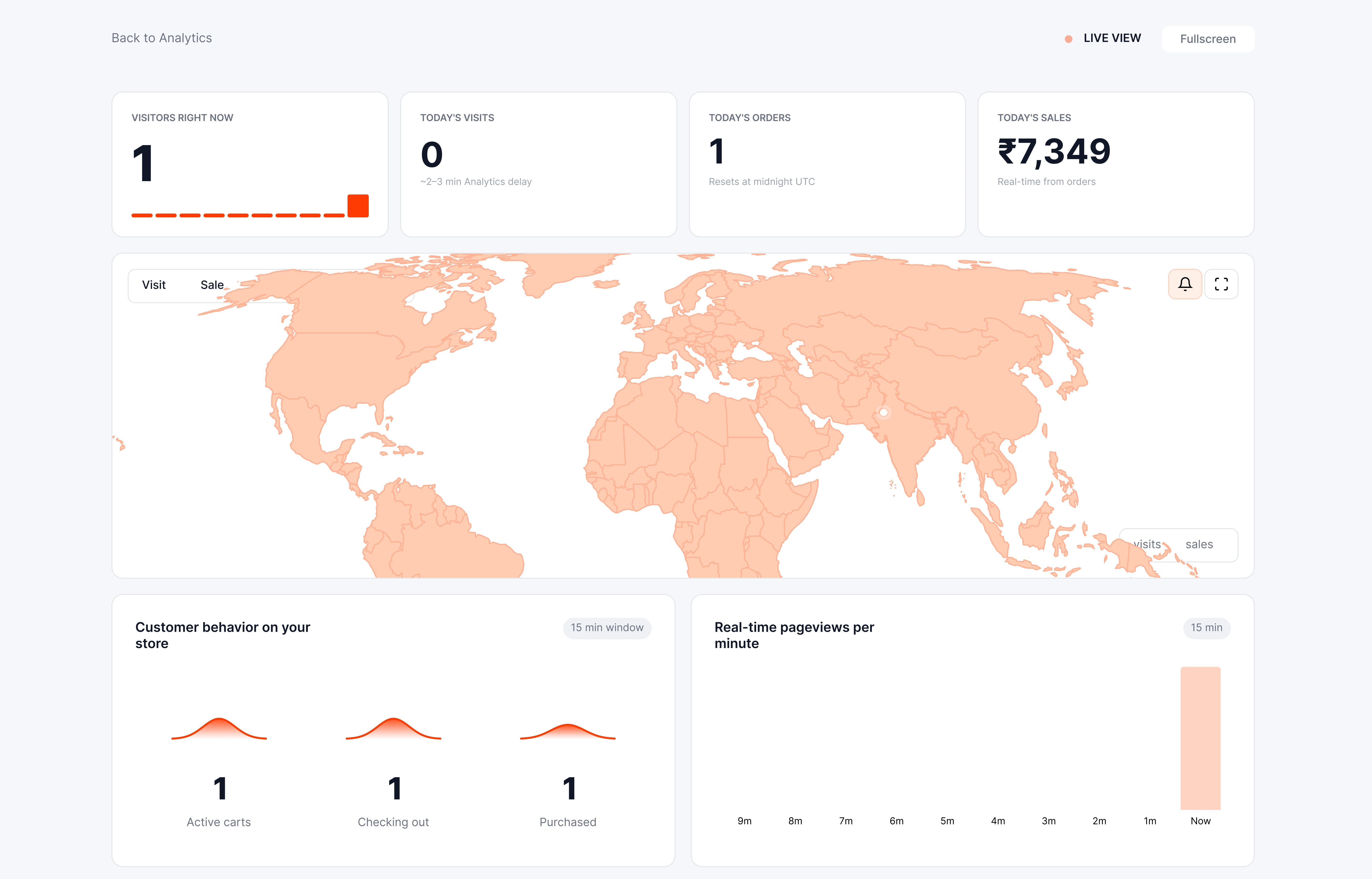 Live visitor map